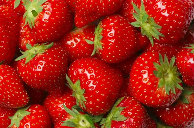 Aardbei – fruitbereiding met stukjes 40% fruit – 5 kg