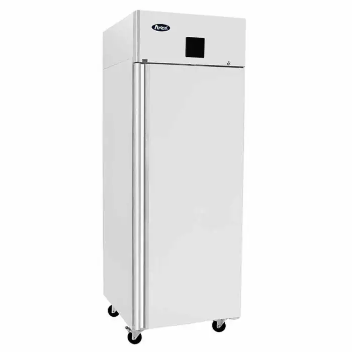 Armoire négative GN2/1 MBF8113GR