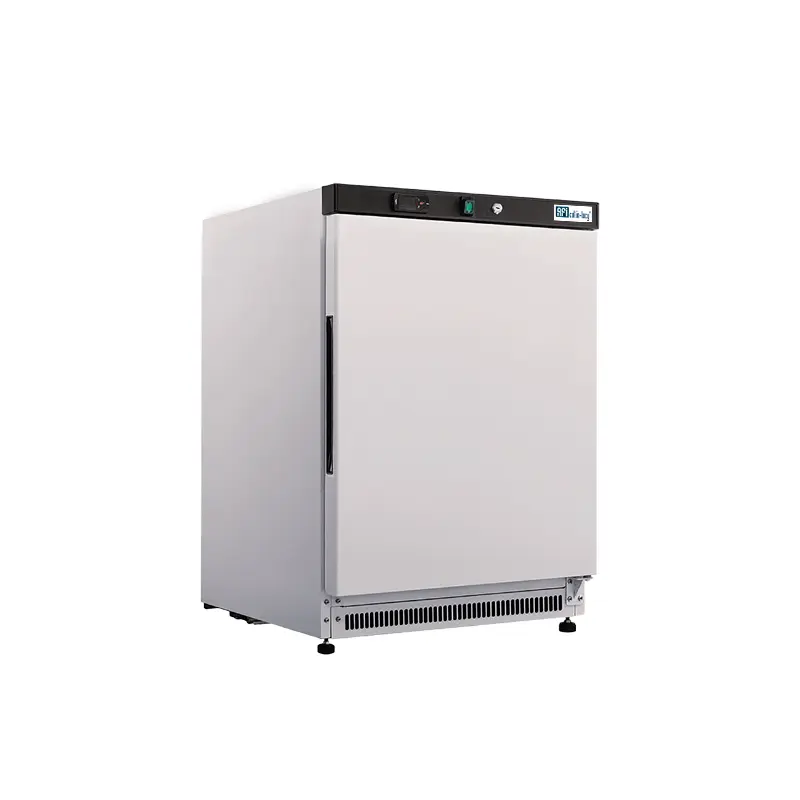 Armoires de congélation portes pleines — A20BNP-2 — 120 L