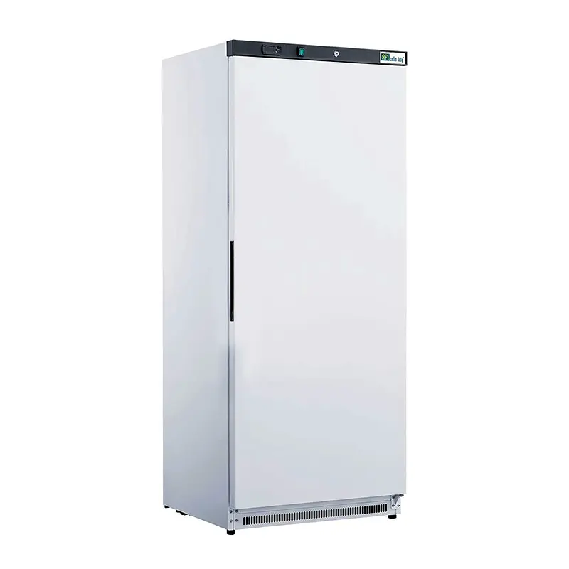 Armoires de congélation portes pleines — A60BNP-2 — 555 L