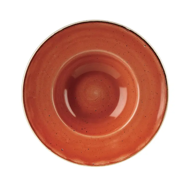 Bols à bord large Churchill Stonecast Spiced Orange 239mm (Lot de 12)