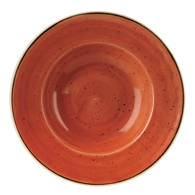 Bols à bord large Churchill Stonecast Spiced Orange 277mm (Lot de 12)