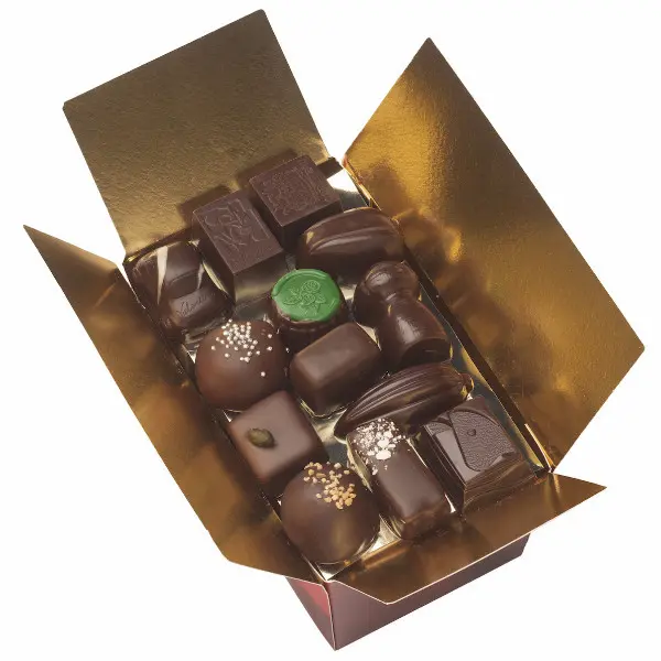 Dark Chocolate Assortment 460g