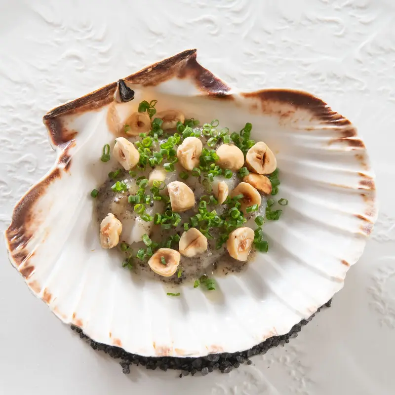 De Burgemeester - Coquille