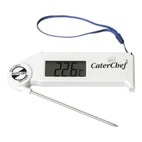 Digitale Thermometer -50/ + 300