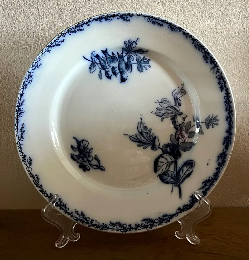 Dinerbord / Eetbord - Creil et Montereau - décor SYLVA in blauw met afbeelding van takken en vogel(s)