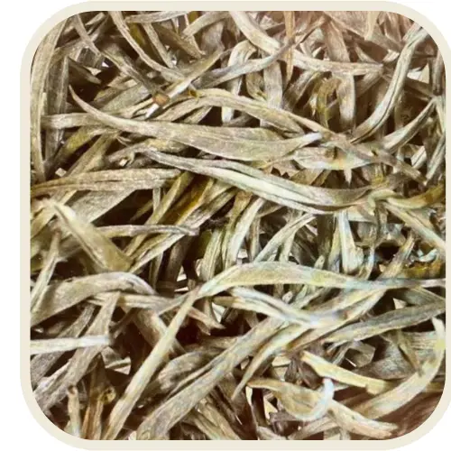 Jasmin Silver Needles - Zilvernaalden