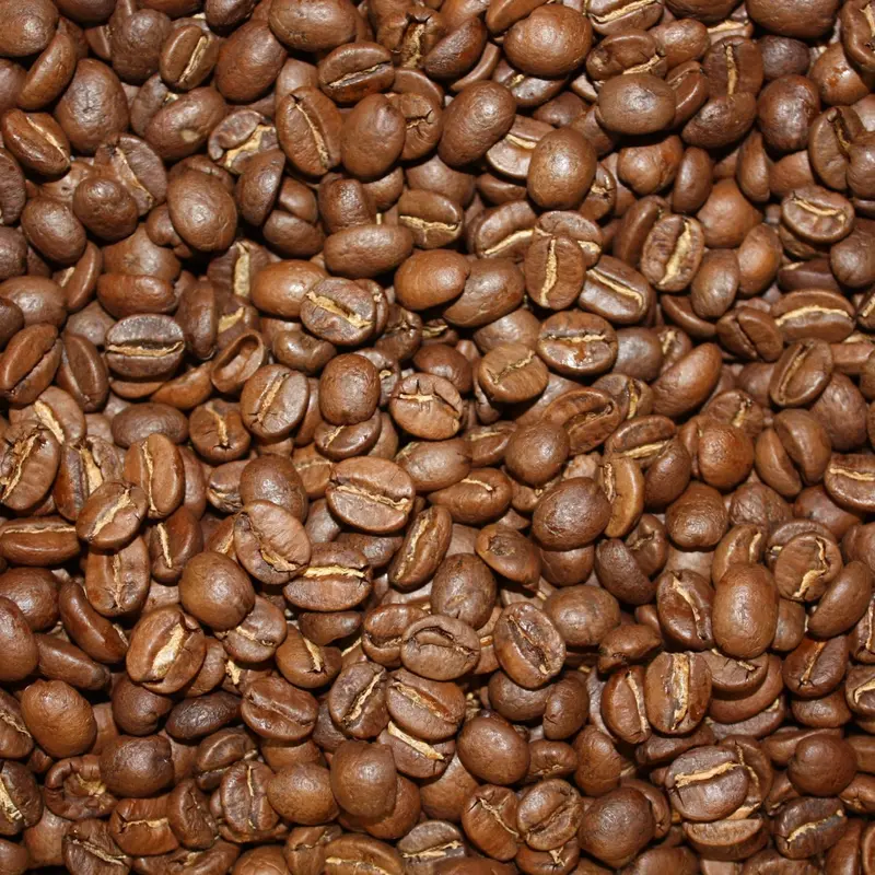 Kilimanjaro - Koffie - Bonen of Vers Gemalen - 250 gram