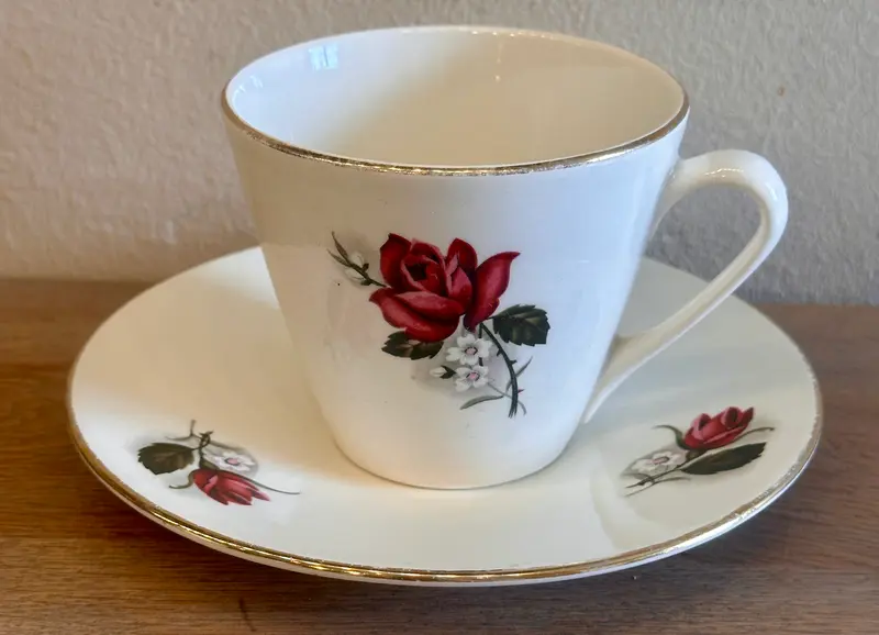 Kop en schotel - Boch - décor POMPADOUR met goudkleurig biesje - vorm VEDETTE