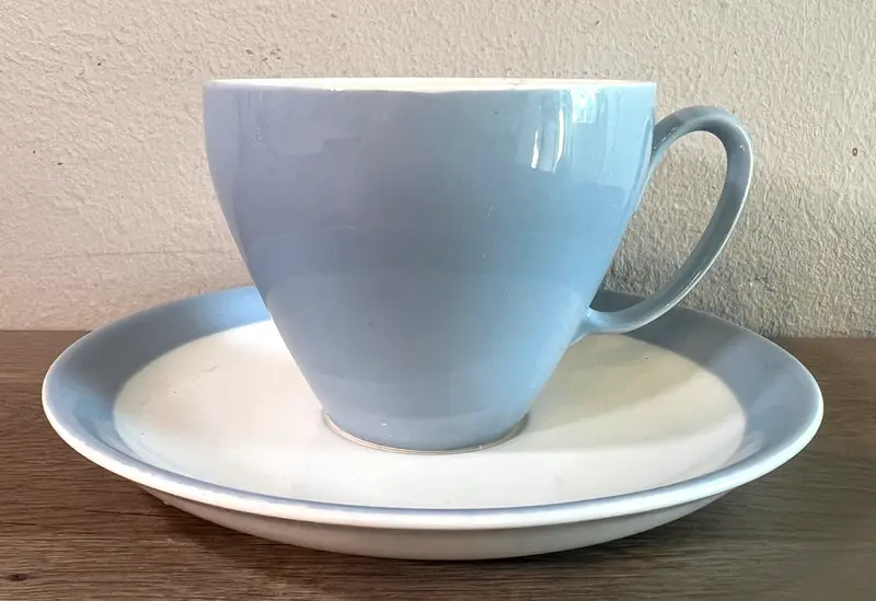 Kop en schotel - Petrus Regout - uitgevoerd in grijs/blauw pastel kleur
