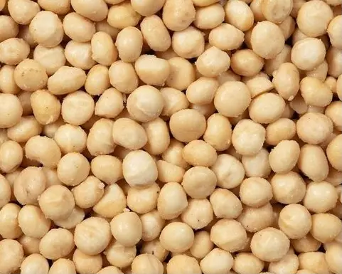 Macadamia geroosterd gezouten