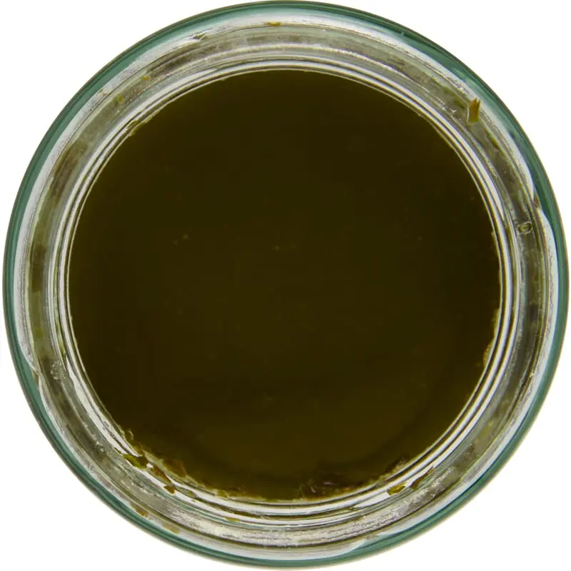 Pistou basilicum bio