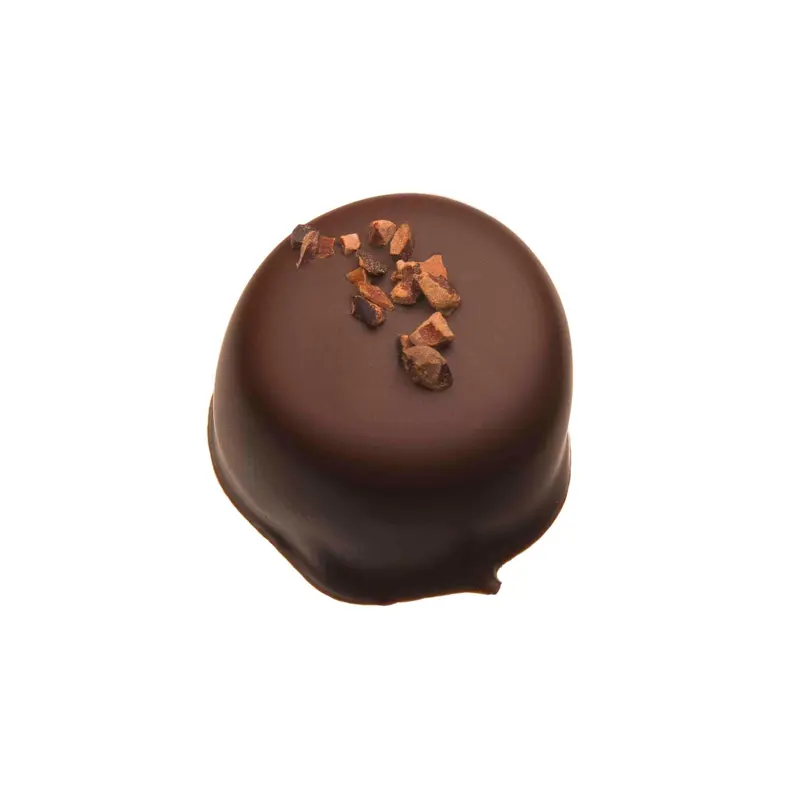 Pralinibs Dark Chocolate