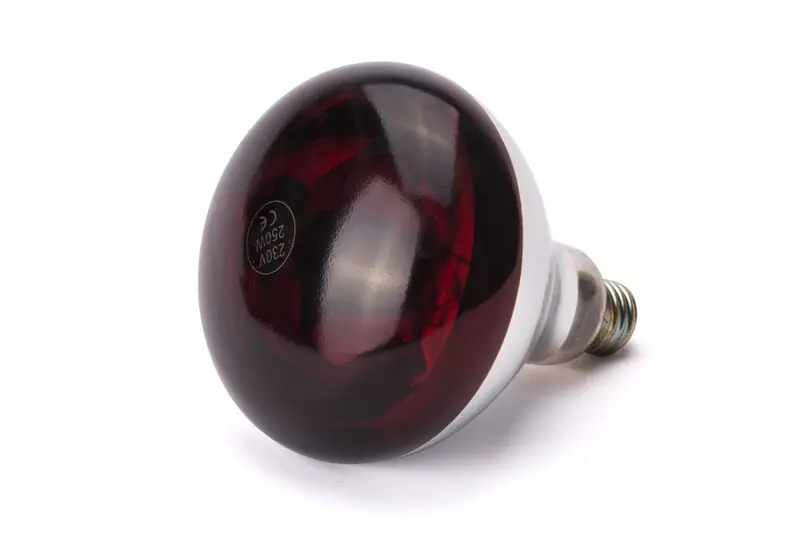 Warmtelampinfrarood 250W rood 1/box